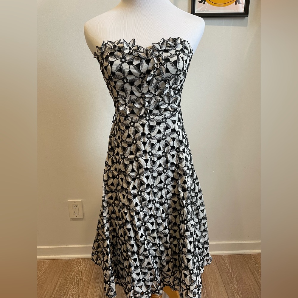 Anthropologie Moulinette Souers Overwhelmed Aster Dress size 2 Worn Once